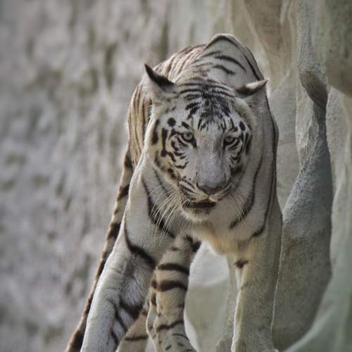 Photo #9652428