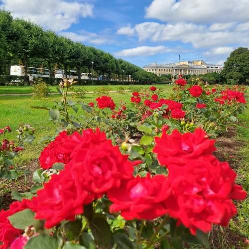 Photo #9652575