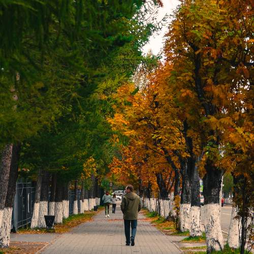 Photo #9652595