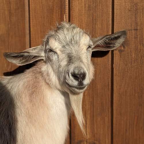 Photo #9652616