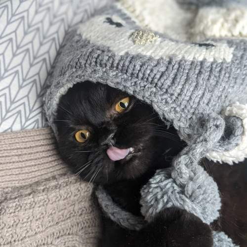 Photo #9652617