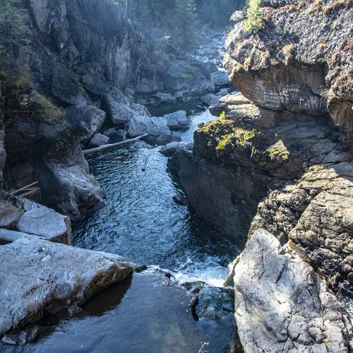 Photo #9652691