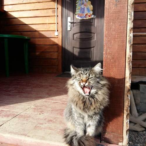 Photo #9652708