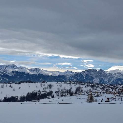 Photo #9652883