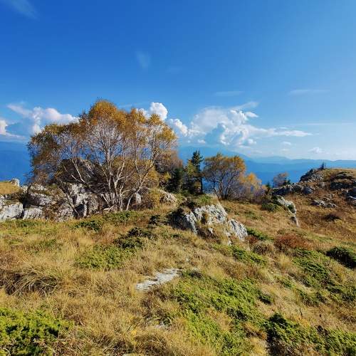 Photo #9652894