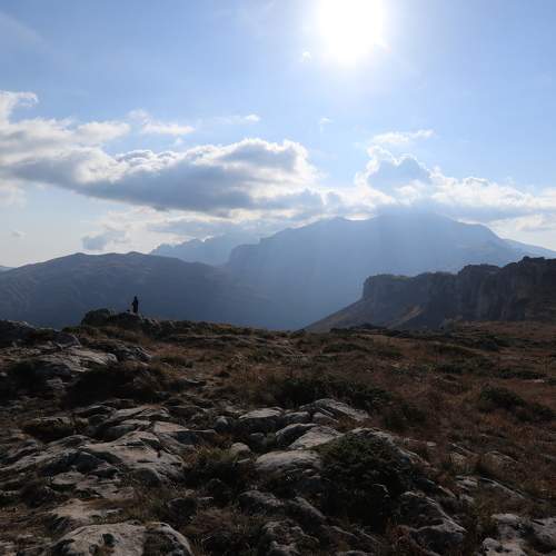 Photo #9652935