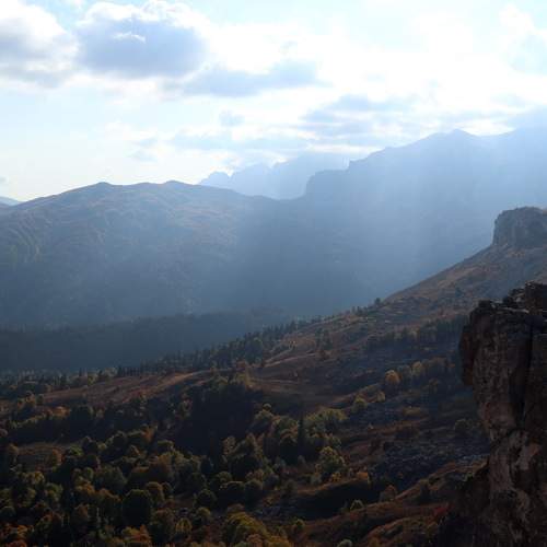 Photo #9652961