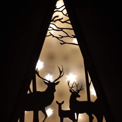 Photo #9653016