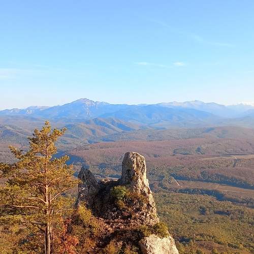 Photo #9653020