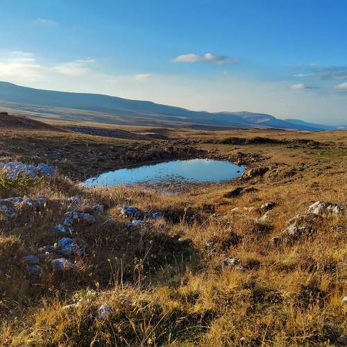 Photo #9653022