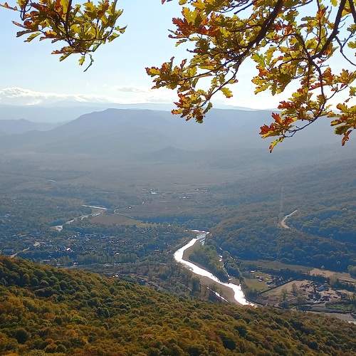 Photo #9653023