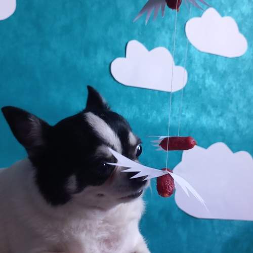 Photo #9653073
