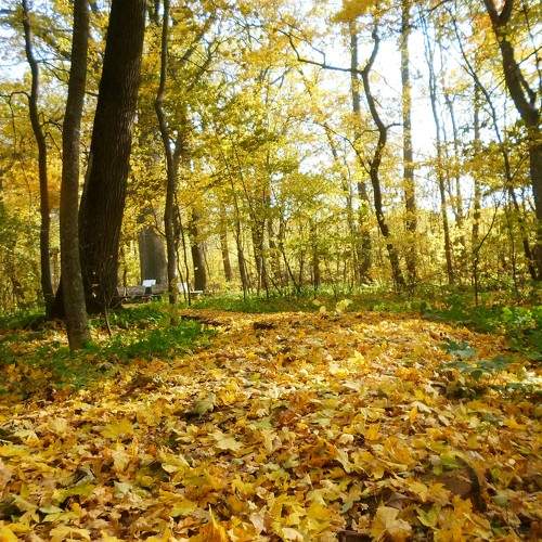 Photo #9653075