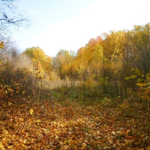 Photo #9653358