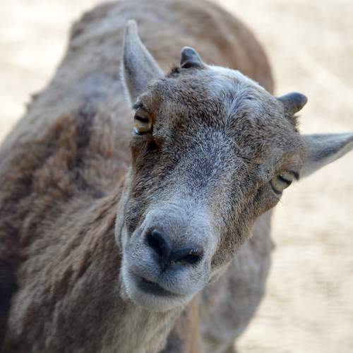 Photo #9653405