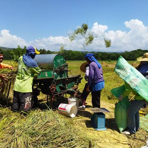 Photo #9653410