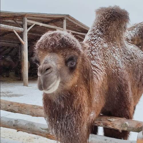 Photo #9653452