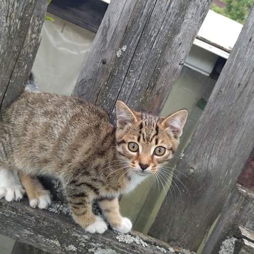 Photo #9653530