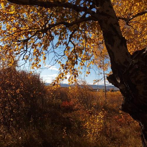 Photo #9653563