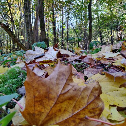 Photo #9653596