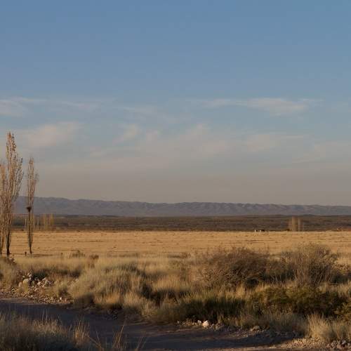 Photo #9653601