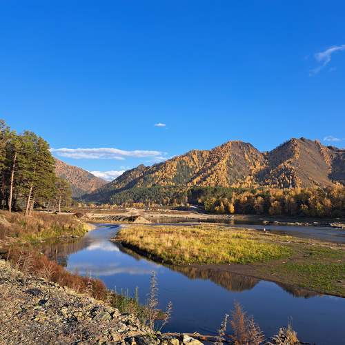 Photo #9653664