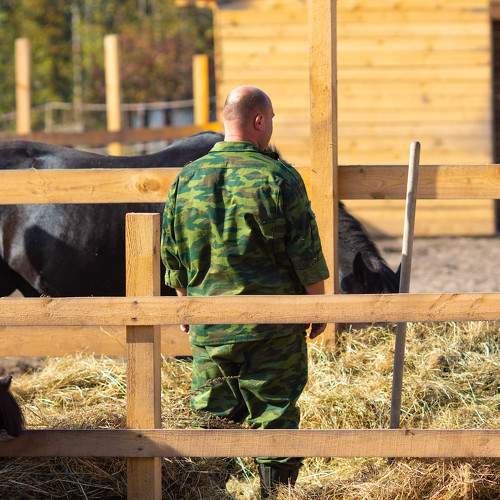 Photo #9653758