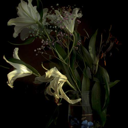 Photo #9653845