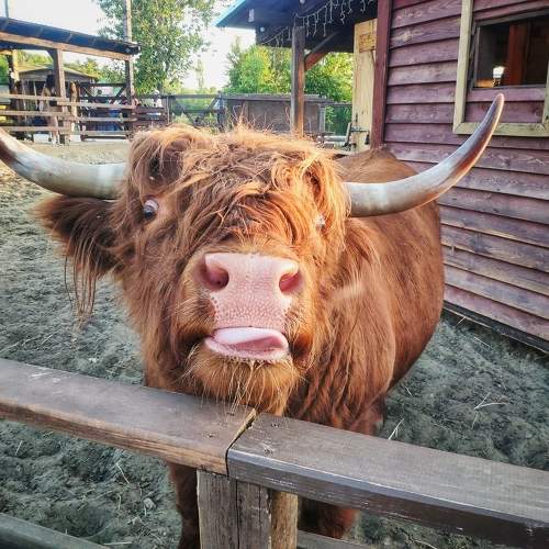 Photo #9654007