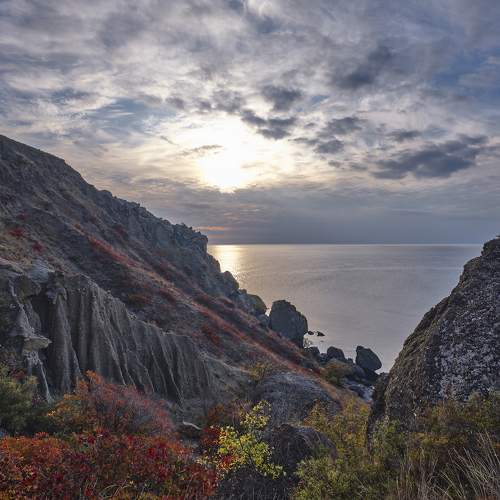 Photo #9654491