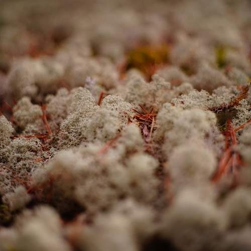Photo #9654520