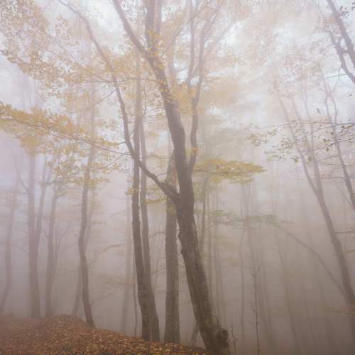 Photo #9654537