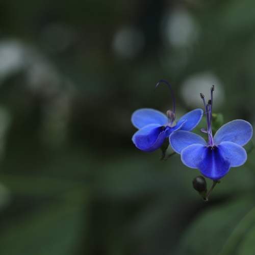Photo #9654609