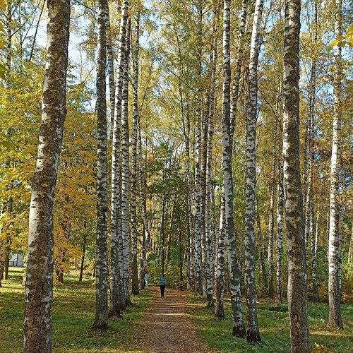 Photo #9654631