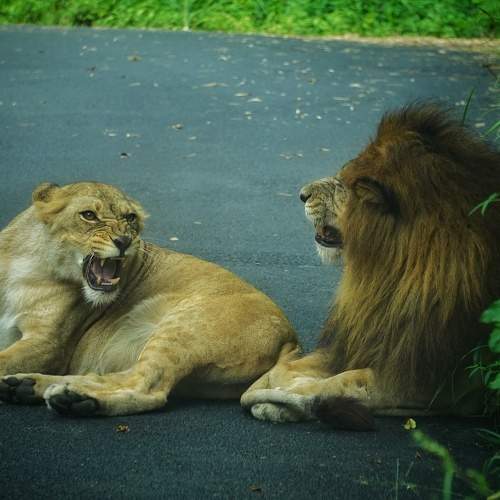Photo #9654684