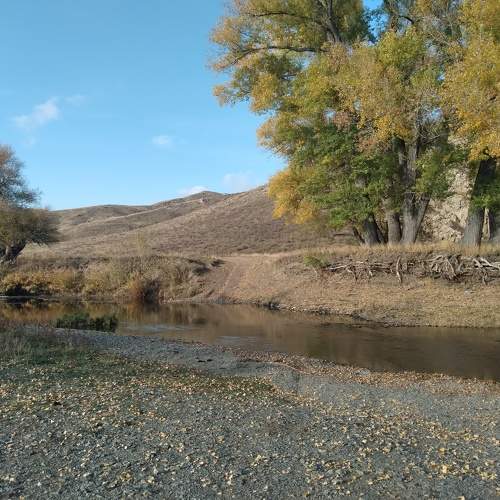 Photo #9654767