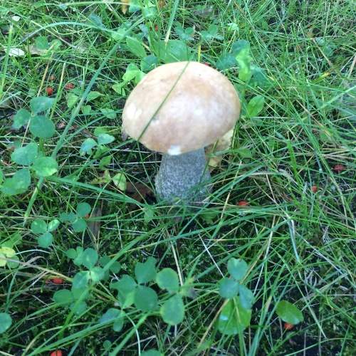 Photo #9654819