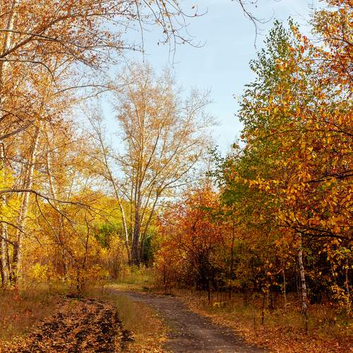 Photo #9654938