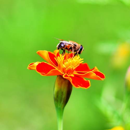 Photo #9655119
