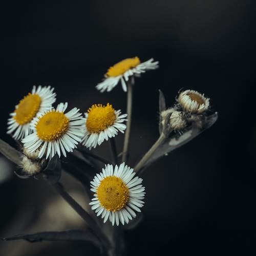 Photo #9655161