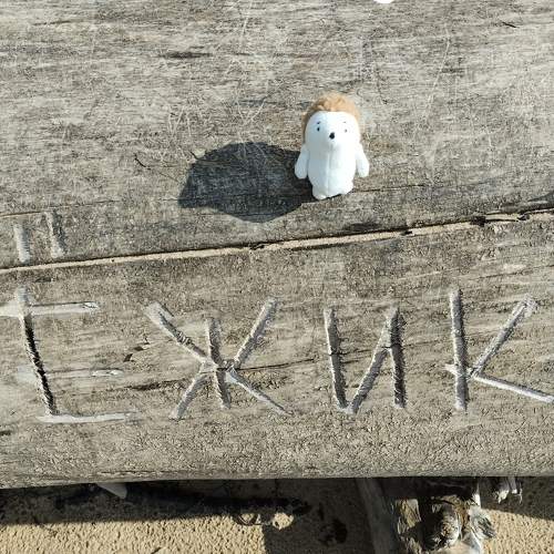 Photo #9655238