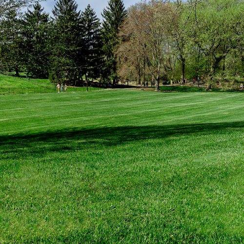 Photo #9655306