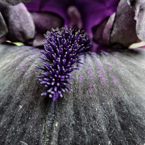 Photo #9655503