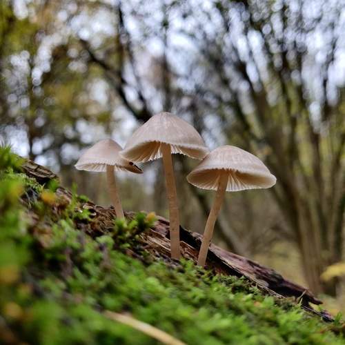 Photo #9655517