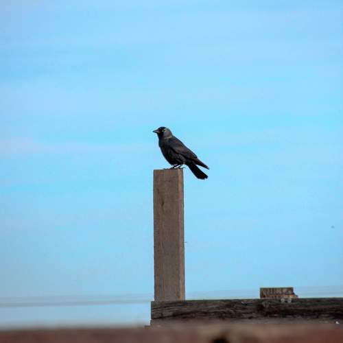 Photo #9655862