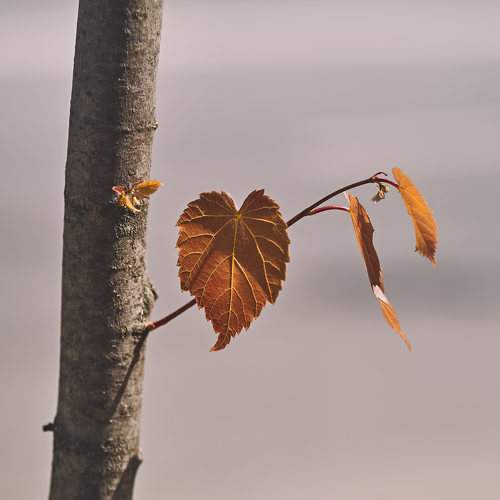 Photo #9656103
