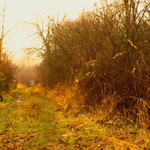 Photo #9656114