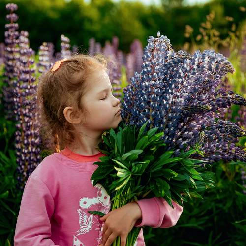 Photo #9656159
