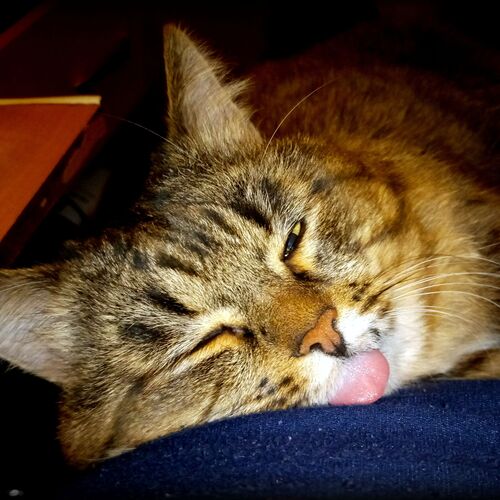 Photo #9656200