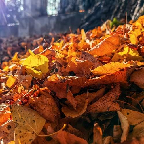 Photo #9656248